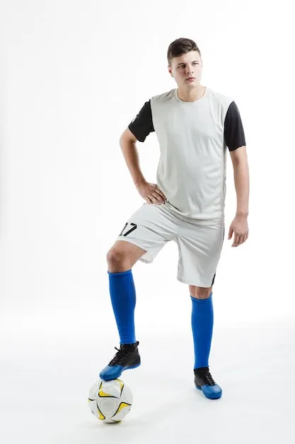 安装与设置示意